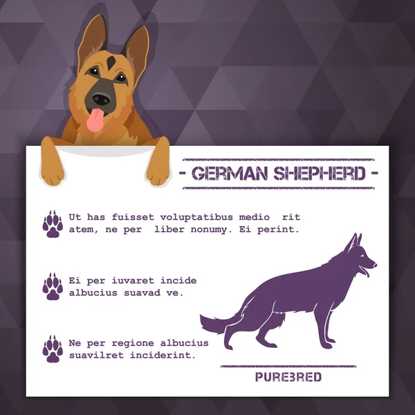 Owczarek niemiecki pies transparent — Wektor stockowy
