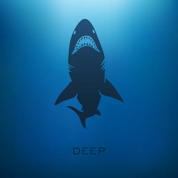 Concept de requin — Image vectorielle