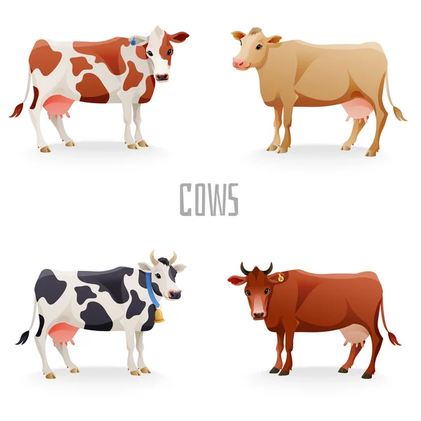 Vacas diferentes — Vector de stock