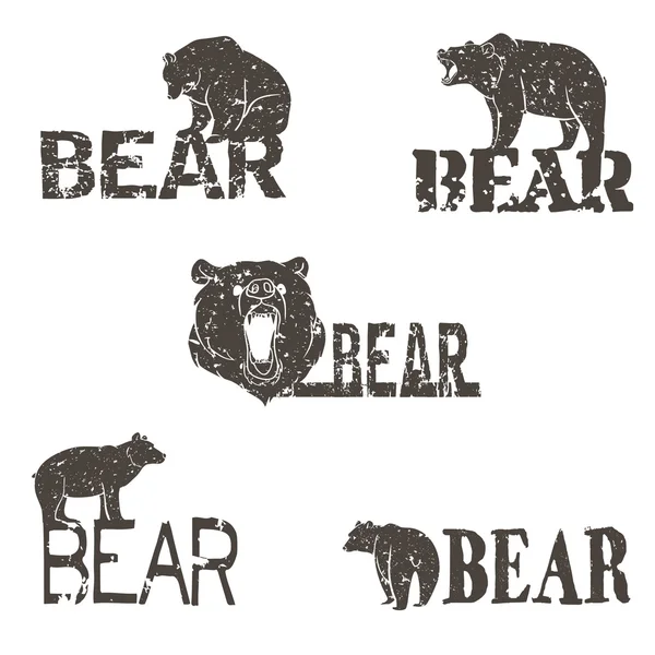 Coleção de logotipos de urso —  Vetores de Stock