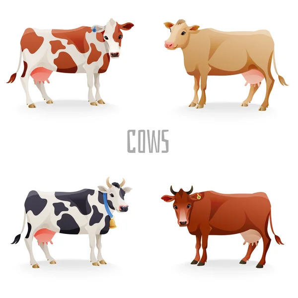 Different cows Stock Illustration