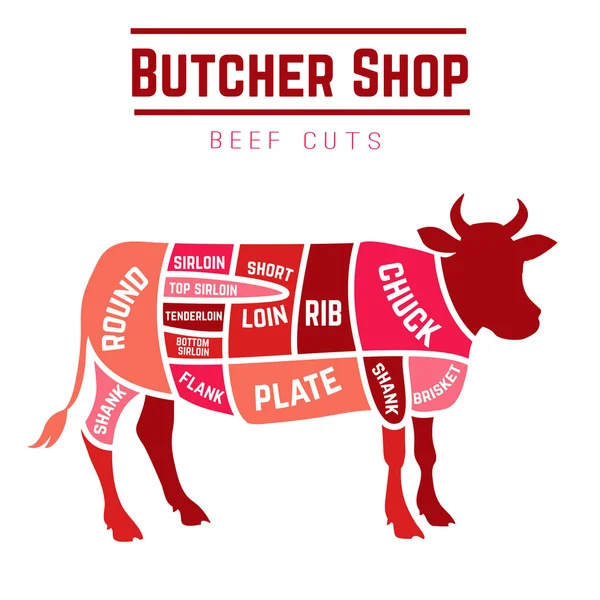 Cuts of beef diagram Stock Vector