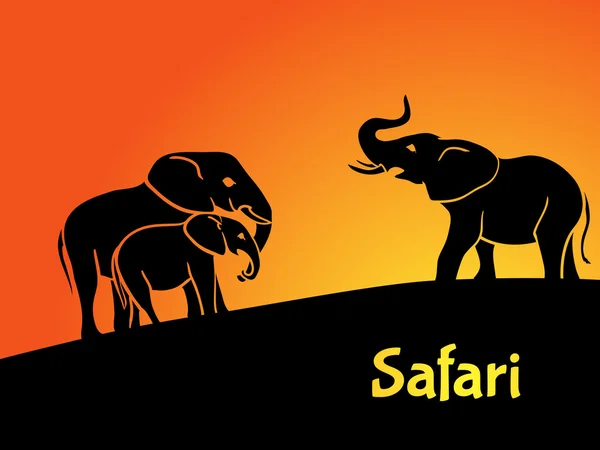 Elephants safari concept — Stock Vector