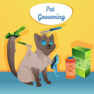 Kedi karakteri damat salonda