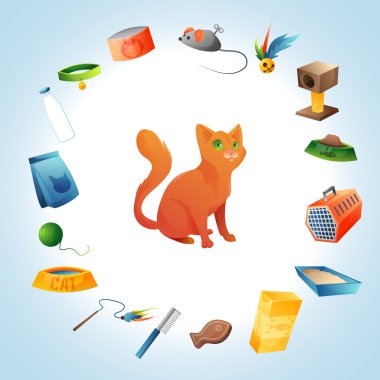 Kedi bakım şeyler kavramı