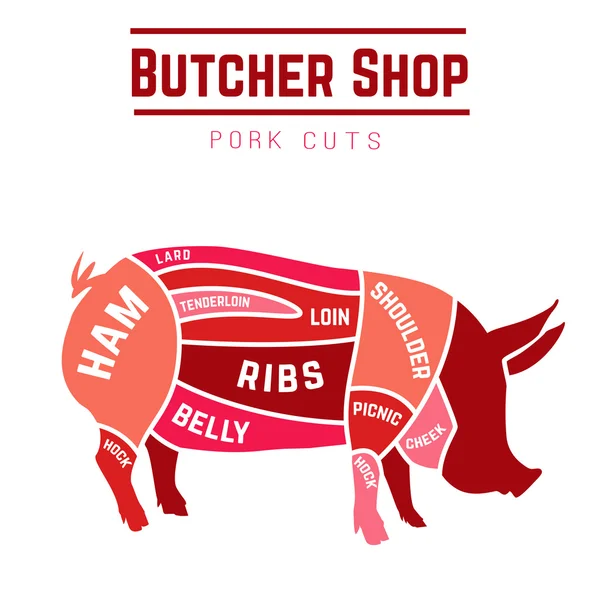 Cuts of pork illustration — Stock Vector