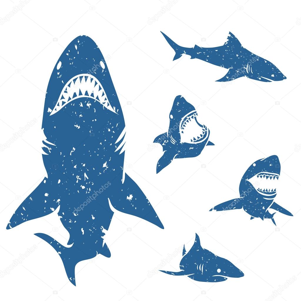 Set of big sharks with grunge style. Vector illustration