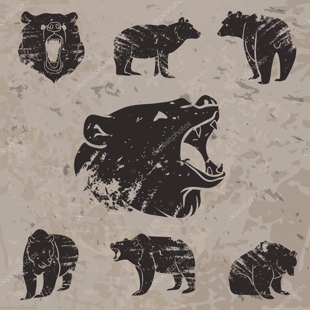 Set of different bears with grunge design. Vector illustration