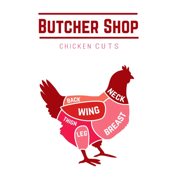 Cuts of chicken butcher diagram — Stock Vector