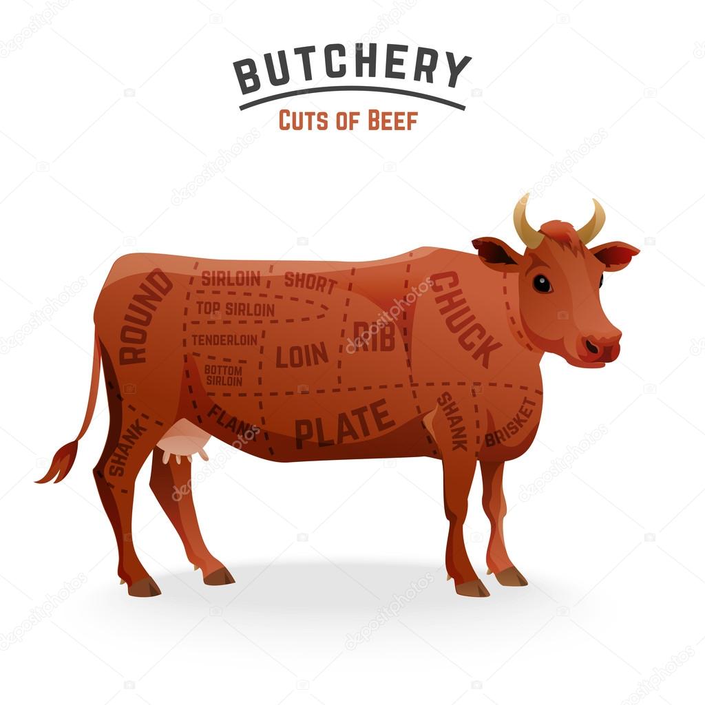 Beef cuts diagram