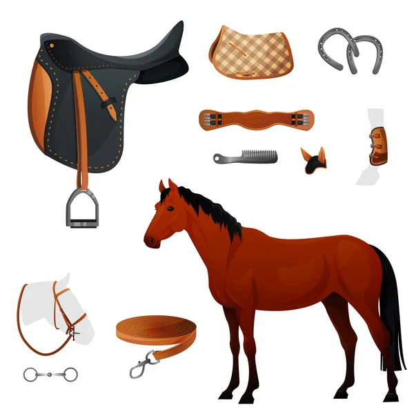 Conjunto de equipamiento ecuestre para caballo . — Vector de stock