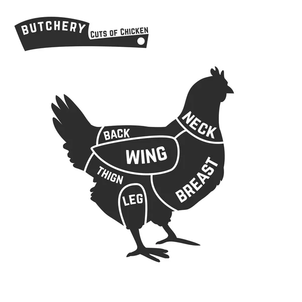 Cuts of chicken butcher diagram — Stock Vector