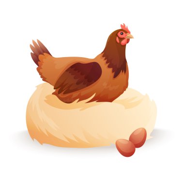 Hen in nest sitting on eggs. vector Hen in nest sitting on eggs. vector