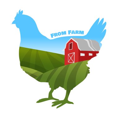 Tavuk çiftliği arka plan içinde. Taze ürünler kavramı.