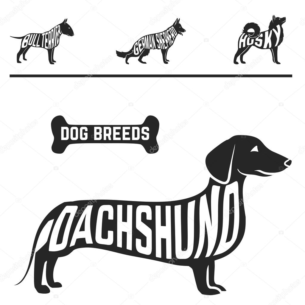 Isolated dog breed silhouettes set with names of breeds inside on white baclground.