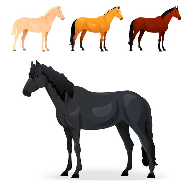 Σύνολο ρεαλιστική άλογο με διαφορετικές παλτά. — Διανυσματικό Αρχείο