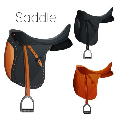 Set of equesrtian equipment for horse clipart
