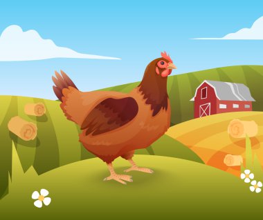 Hen standing on grass with farm on background vector Hen standing on grass with farm on background vector