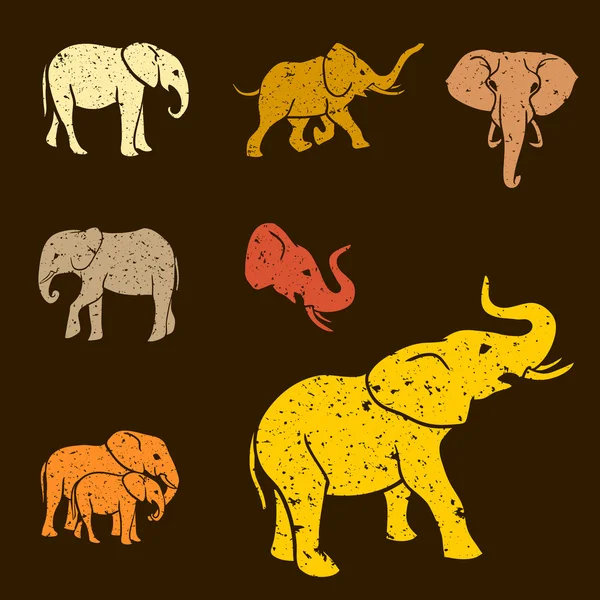 Ensemble d'éléphants — Image vectorielle