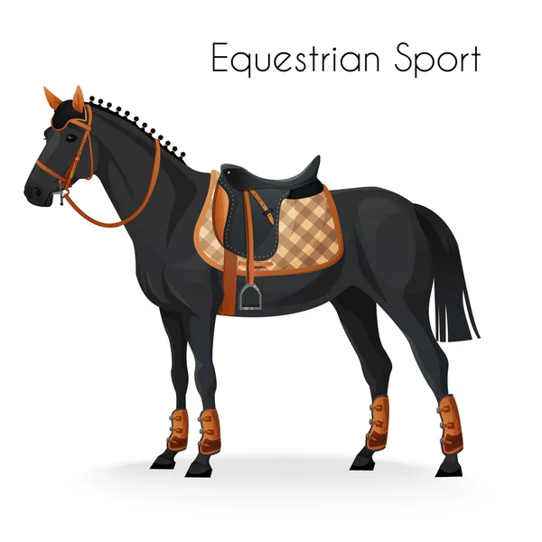 Horse with equestrian sport equipment — Stock Vector