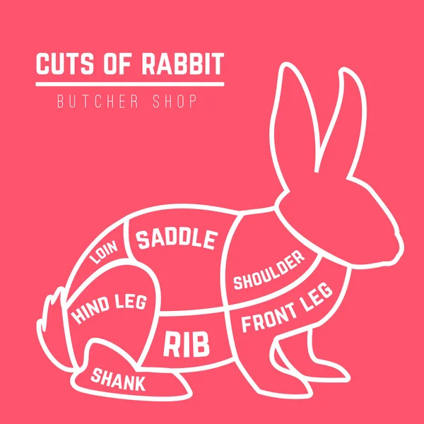 Rabbit cuts diagram for Butcher shop — Stock Vector