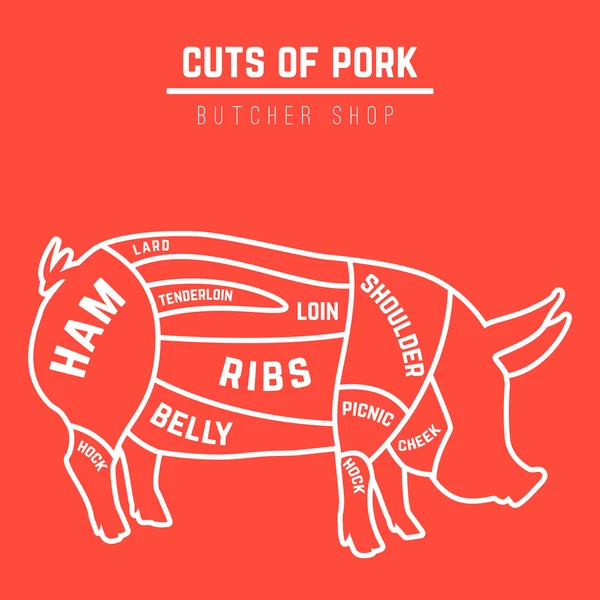 Cuts of pork — Stock Vector