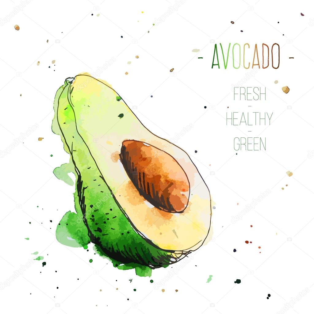 Watercolor avocado with splashes in free style. Fresh and juicy colors. Hand drawn isolated on white background.