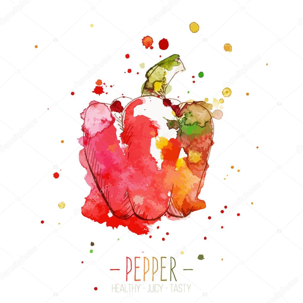 Watercolor red pepper with splashes in free style. Fresh and juicy colors. Hand drawn isolated on white background.