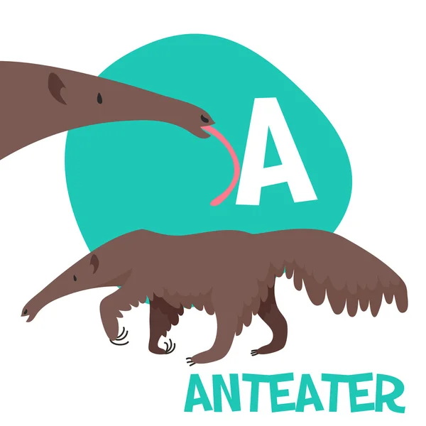 Funny cartoon animals vector alphabet letter set for kids  A is anteater. — Stock Vector