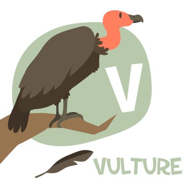 Funny cartoon animals vector alphabet letter set for kids. V is Vulture  