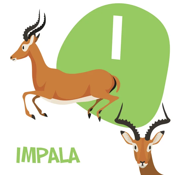 Funny cartoon animals vector alphabet letter set for kids . I is Impala — Wektor stockowy