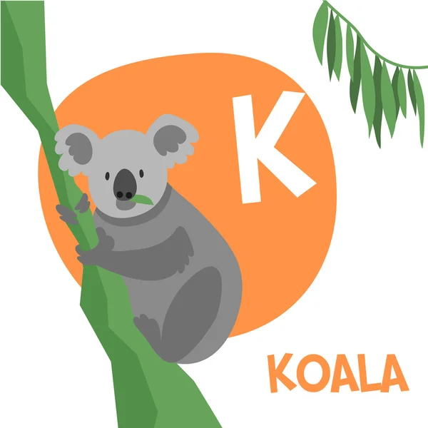 Lustige cartoon tiere vektorbuchstaben set für kinder. k ist Koala. — Stockvektor