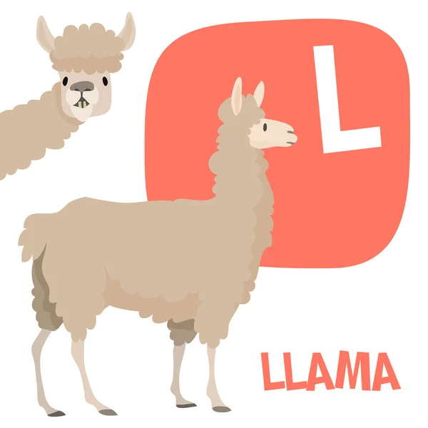 Funny cartoon animals vector alphabet letter set for kids. L is Llama — Stok Vektör