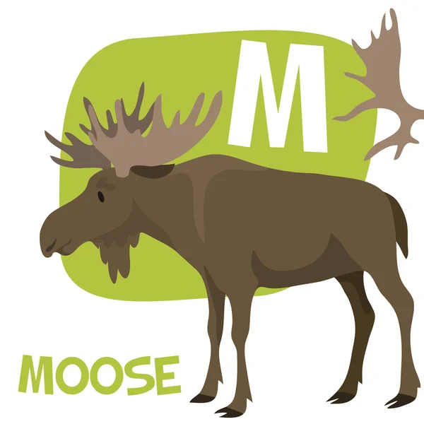 Funny cartoon animals vector alphabet letter set for kids. M is Moose. — Stockvector