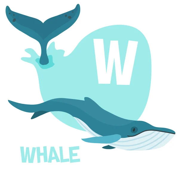 Funny cartoon animals vector alphabet letter set for kids. W is Whale — Stock vektor