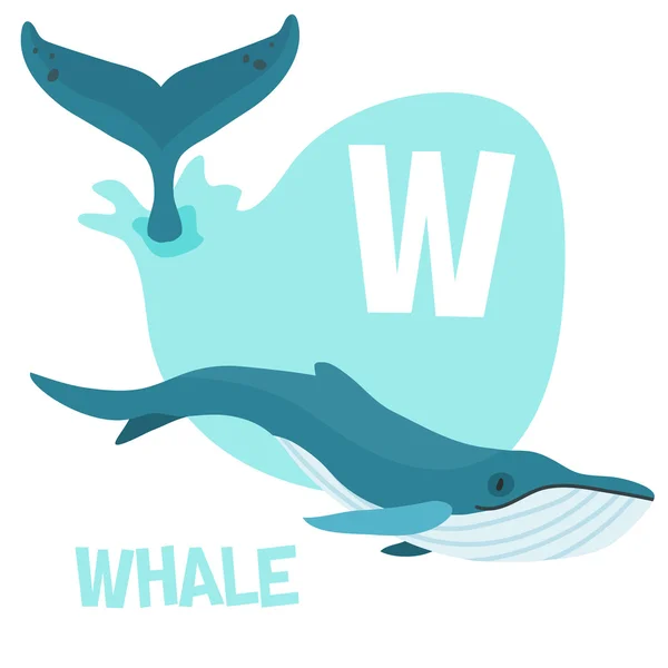 Funny cartoon animals vector alphabet letter set for kids. W is Whale Stock Vector