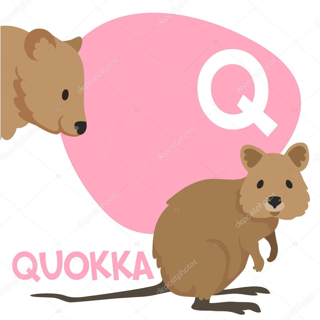 Funny Cartoon Animals Vector Alphabet Letter Set For Kids Q Is Quokka Stock Vector Image By C Dashikka 76147059