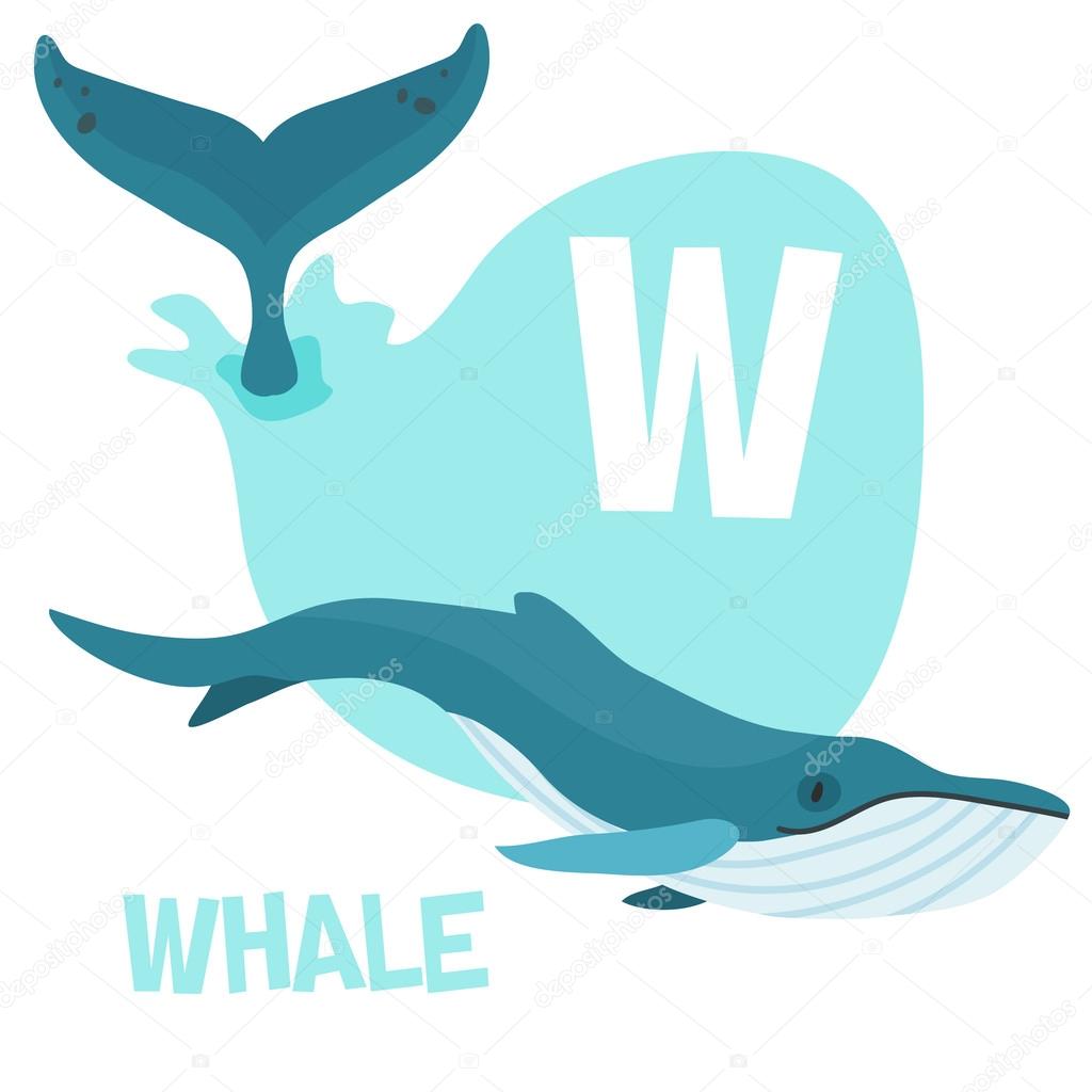 Funny cartoon animals vector alphabet letter set for kids. W is Whale