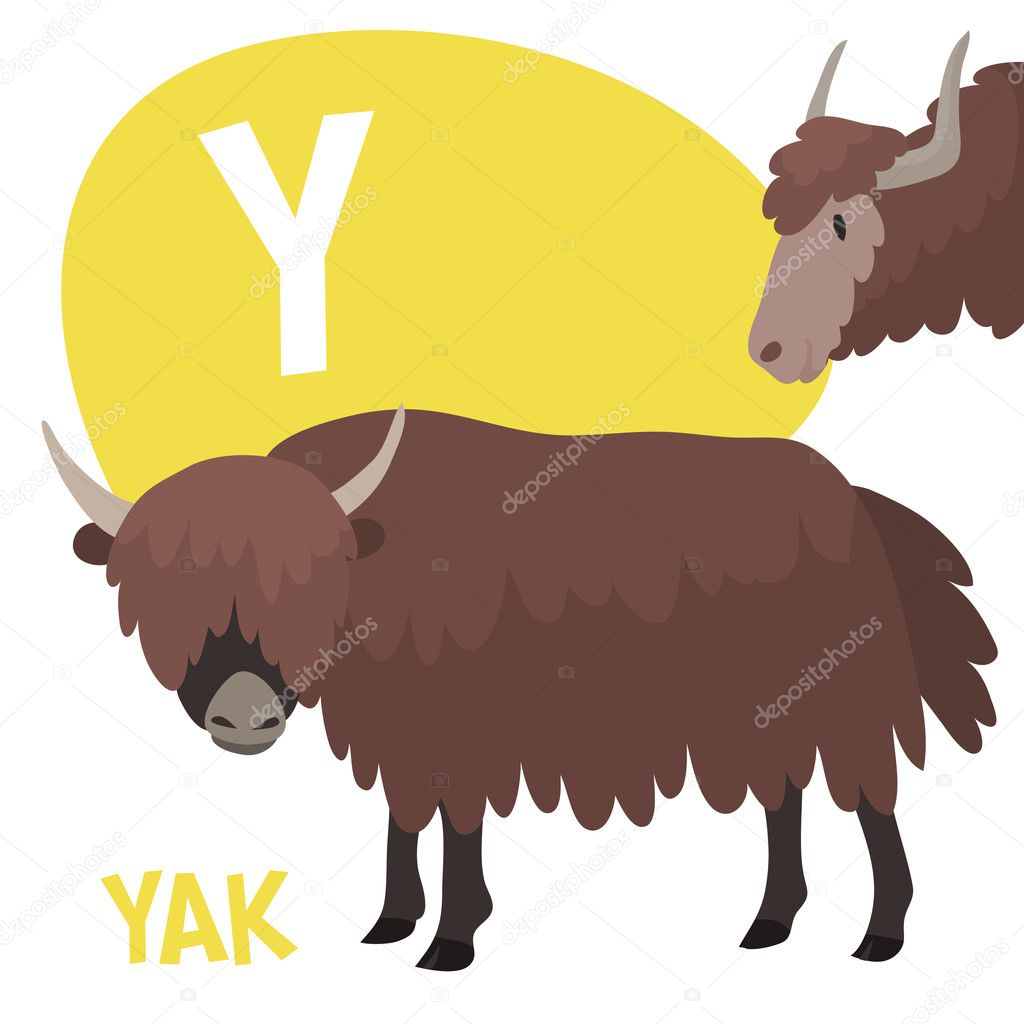 Funny cartoon animals vector alphabet letter for kids from A to Z. Y is yak. Vector illustration
