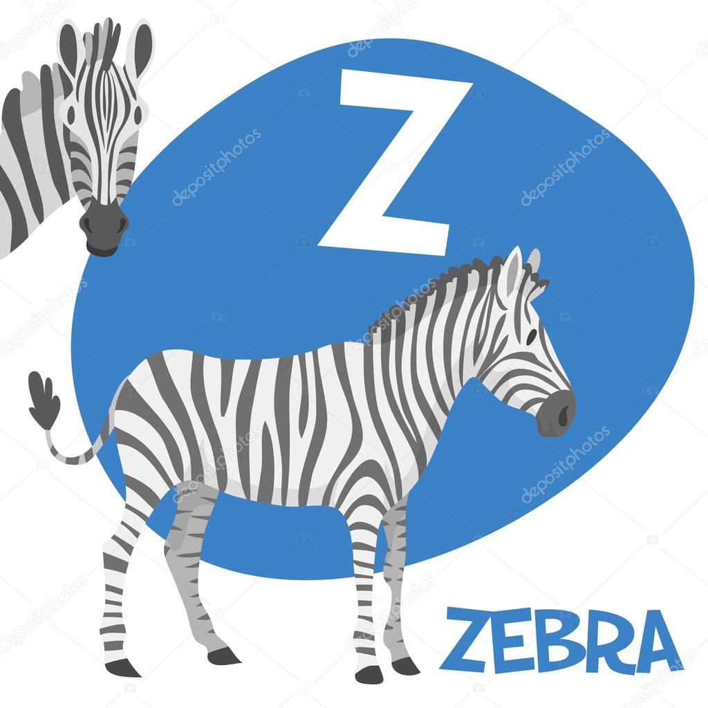 Funny cartoon animals vector alphabet letter for kids from A to Z. Z is zebra Vector illustration