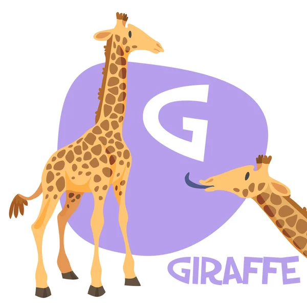 Funny cartoon animals vector alphabet letter set for kids . G is giraffe — Stock Vector