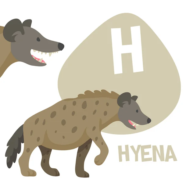 Funny cartoon animals vector alphabet letter set for kids. H is Hyena — Stock Vector
