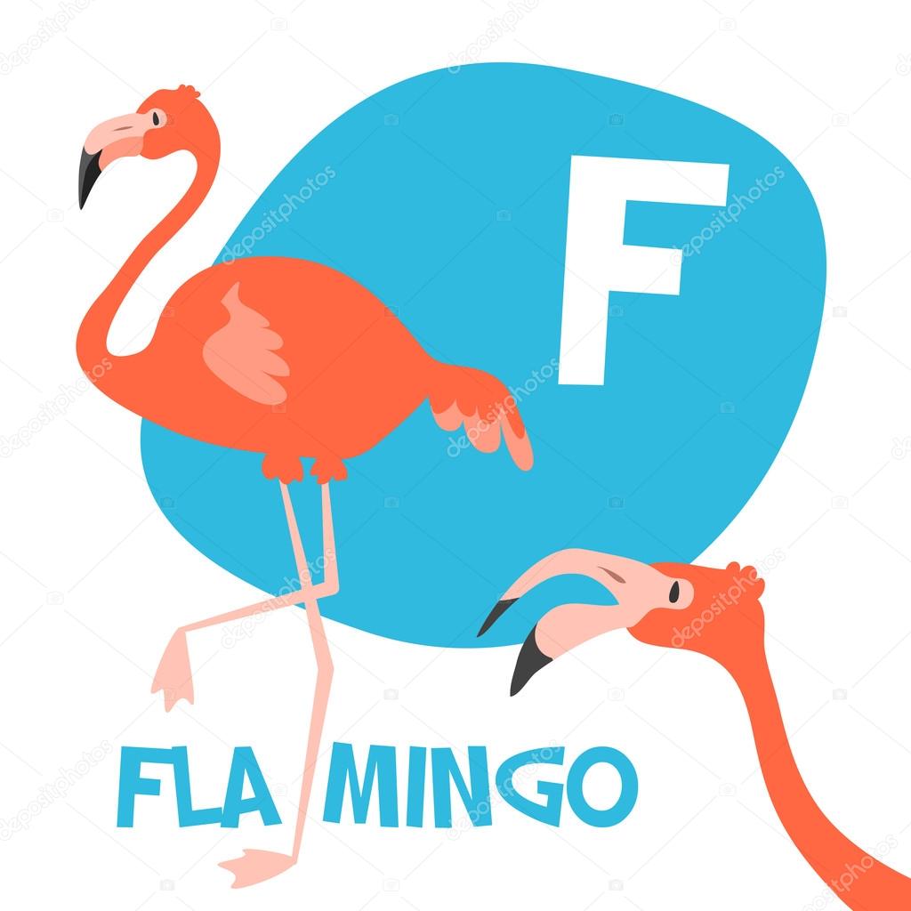 Funny cartoon animals vector alphabet letter set for kids. F is Flamingo  