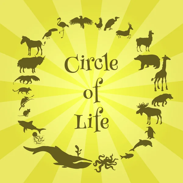 Concept poster animals silhouettes around with text inside. Circle of life. — Stock Vector