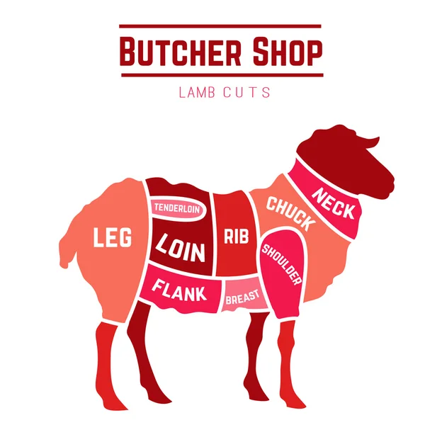 Lamb or mutton cuts diagram. Butcher shop — Stock Vector