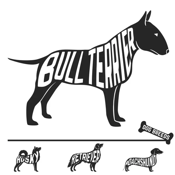 Set of dog breeds silhouettes with text inside. Bull terrier — Stock Vector