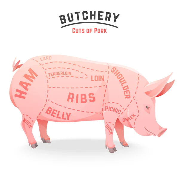 Pedaços de carne de porco —  Vetores de Stock