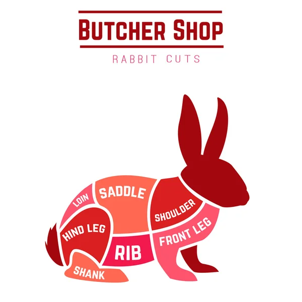 Rabbit cuts diagram for Butcher shop — Stock Vector