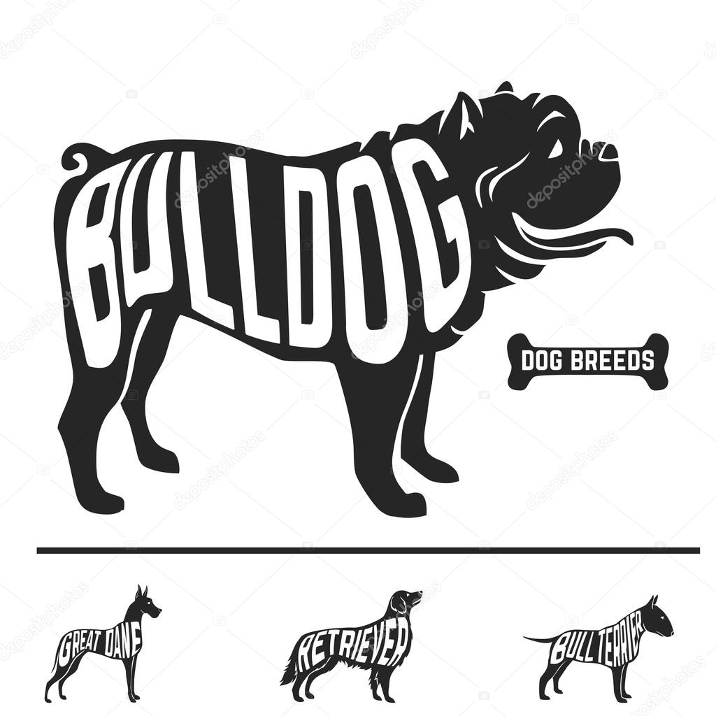 Isolated dog breed silhouettes set with names of breeds inside on white baclground. Vector illustration