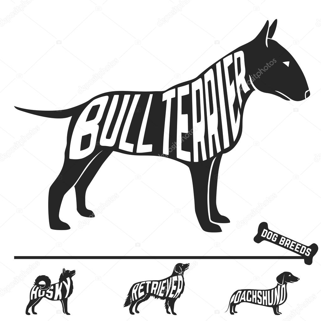 Set of dog breeds silhouettes with text inside. Bull terrier